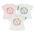 夏の必需品！アンパンマンのかわいい半袖Ｔシャツが登場！