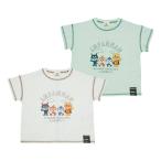 夏にぴったり！アンパンマン天竺半袖Ｔシャツ登場