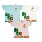 夏にぴったりの「はらぺこあおむし」半袖Tシャツ登場!