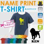 愛犬ビーグルと一緒に楽しむ！名入れキッズTシャツで特別な夏を