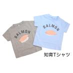 子供の夏を彩る！可愛いサーモン寿司デザインの知育Tシャツ