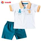 カラフルでスタイリッシュ！襟付きワニデザインTシャツ＆ハーフパンツセット