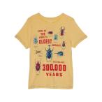 ピークの新作ティーシャツ「ザ ライフ サイクル オブ ア ビートル」登場！