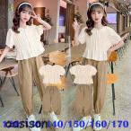 おしゃれで快適！女の子向けジュニアセットアップで毎日をもっと楽しく