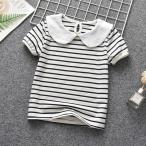 春夏の新作！おしゃれな子供用丸襟カットソー