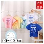 かわいいお揃いコーデにぴったり！カラフルくまTシャツ登場