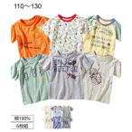 昆虫好きのキッズ必見！元気いっぱいのTシャツ6枚組