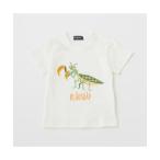 【50%OFF】クレードスコープの昆虫アップリケ半袖Tシャツで夏を楽しもう！