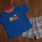 【限定セール】セサミストリートの可愛いベビーウェアが半額以下！エルモ＆ビッグバードの半袖上下セット