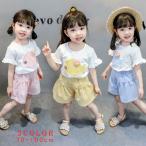 赤ちゃんの可愛さを引き立てる！魚刺繍×チェック柄の爽やかセットアップ