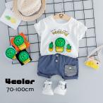 キッズにぴったり！可愛さ満点の上下セット