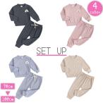 子供にぴったりのシンプルスタイル！トレーナー＆ジョガーパンツセットアップ