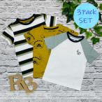 恐竜好き必見！NEXTの可愛い半袖シャツ3枚セットが送料無料！