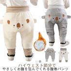 お腹もすっぽり！かわいいコアラ柄の腹巻き付きベビーパンツで冷え知らず