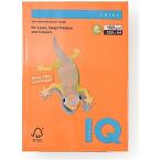 鮮やかなオレンジで際立つ！バイオトップカラー A4/160グラム 250枚入りの魅力